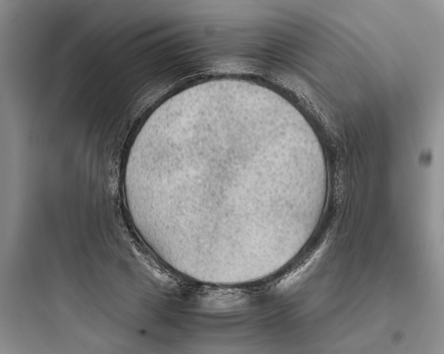 X0000097660833200803211917