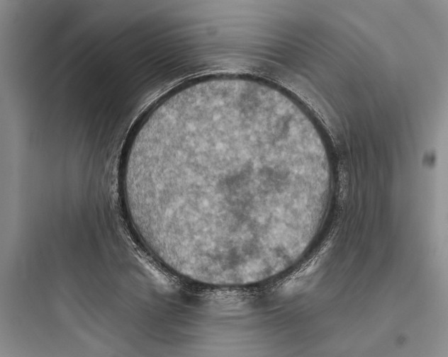 X0000097660834200803211917