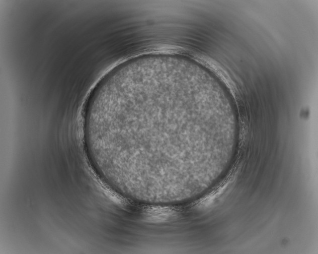 X0000097660835200803211917