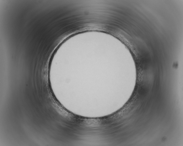 X0000097660836200803211917