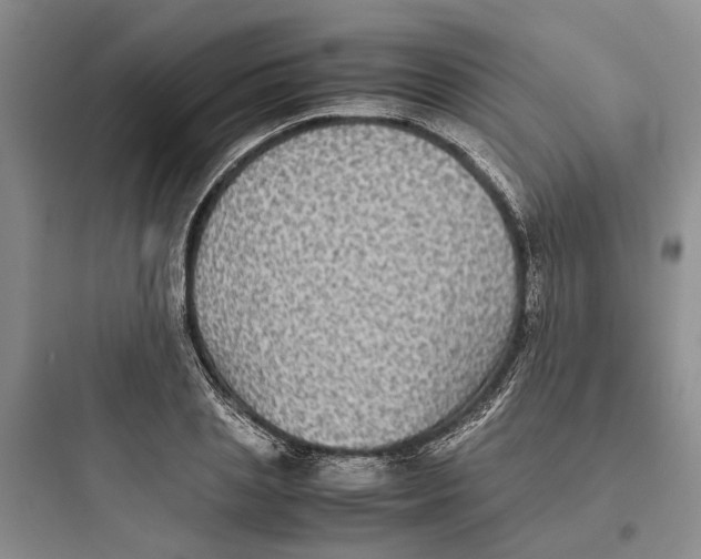 X0000097660837200803211918