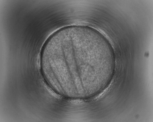 X0000097660838200803211918