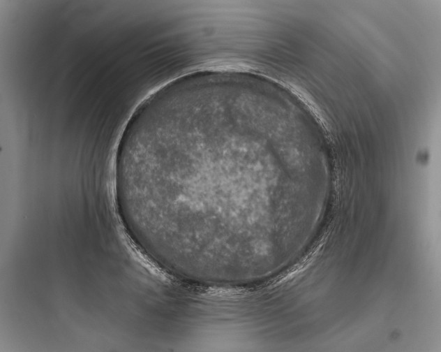 X0000097660840200803211918
