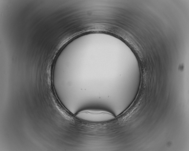 X0000097660842200803211918
