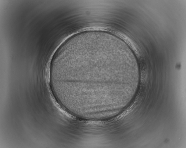 X0000097660844200803211918