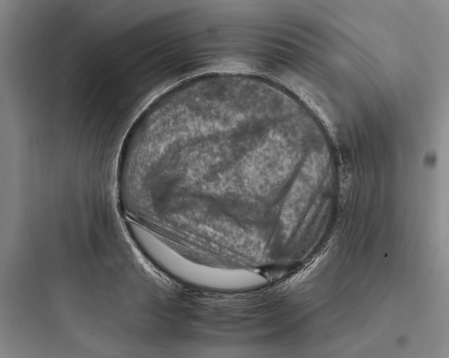 X0000097660845200803211918