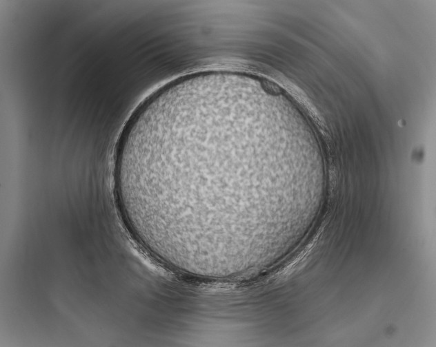 X0000097660846200803211918