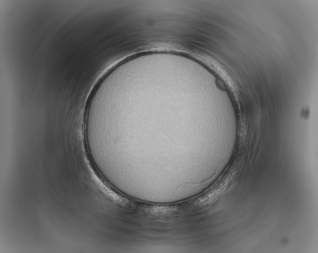 X0000097660847200803211918