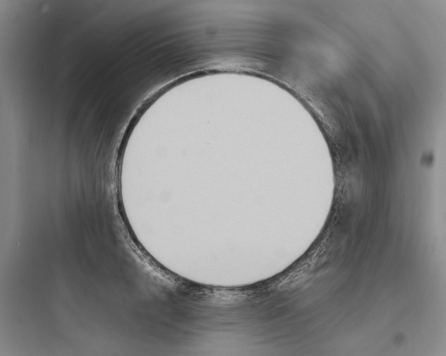 X0000097660848200803211918
