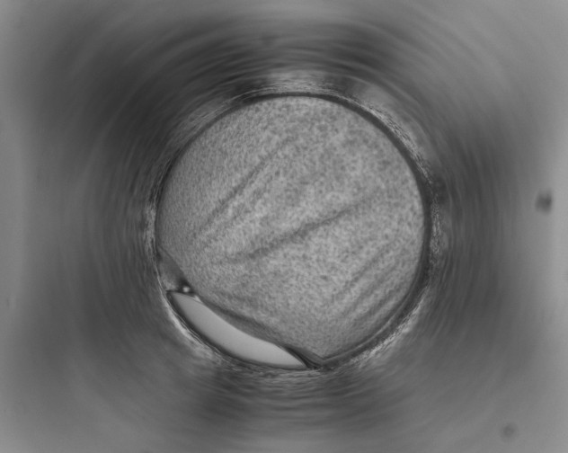 X0000097660849200803211918