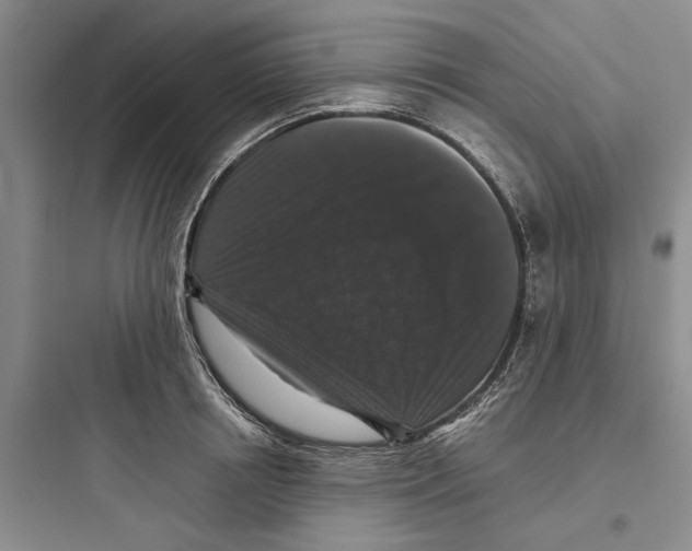 X0000097660850200803211918