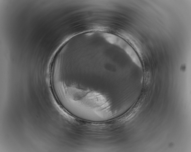X0000097660851200803211918