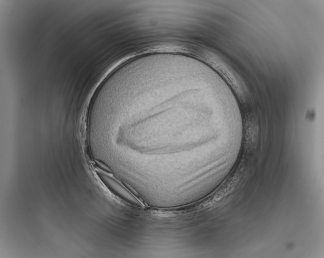 X0000097660852200803211918