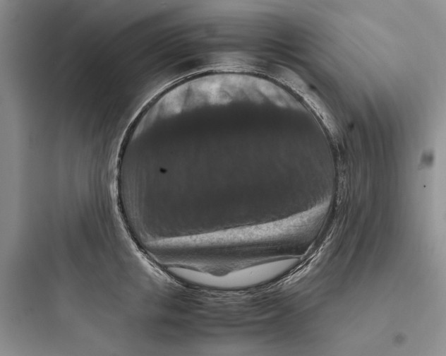 X0000097660853200803211918