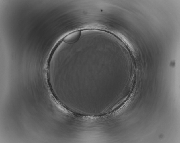 X0000097660854200803211918
