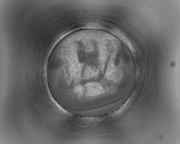 X0000097660855200803211918