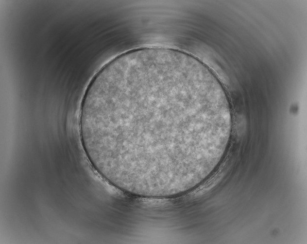 X0000097660856200803211918