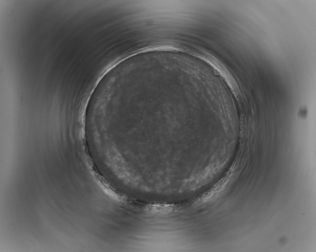 X0000097660858200803211918