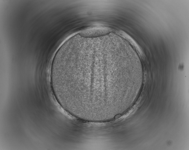 X0000097660860200803211918