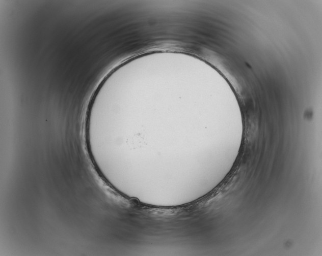 X0000097660861200803211918