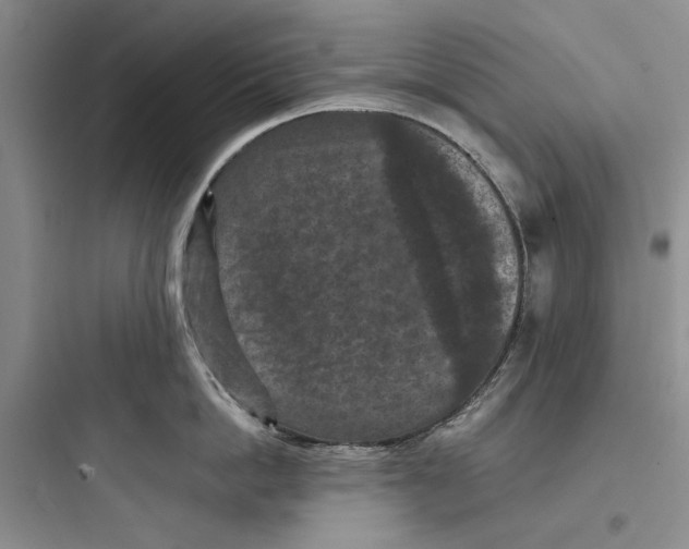 X0000097660862200803211918