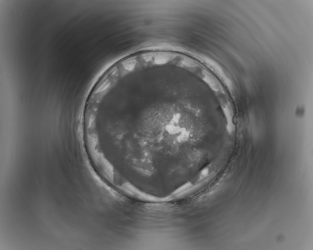 X0000097660863200803211918