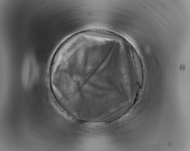X0000097660864200803211918