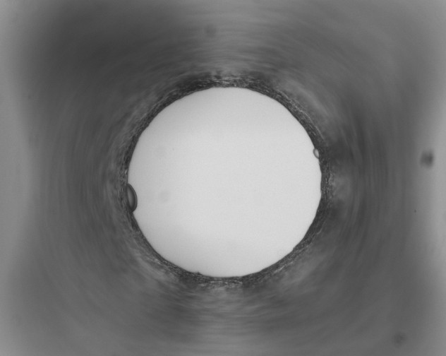 X0000097660865200803211917
