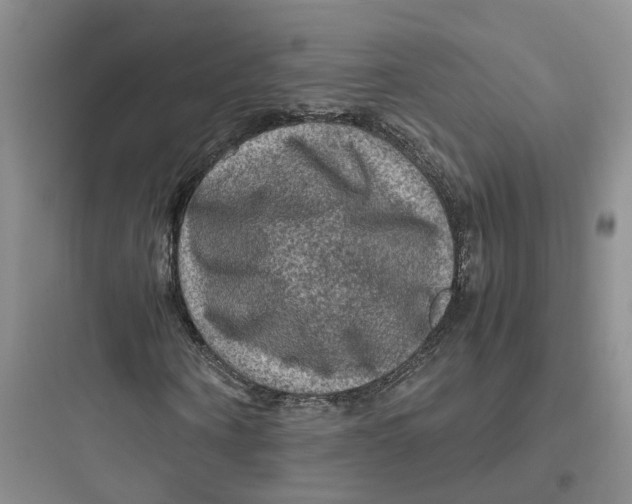 X0000097660866200803211917