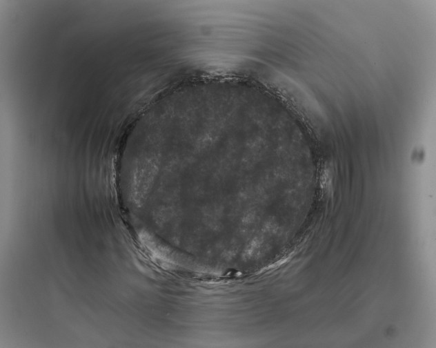 X0000097660868200803211917