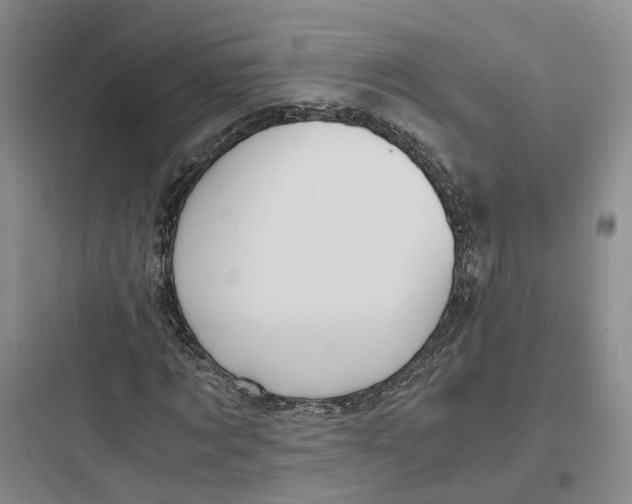 X0000097660869200803211917