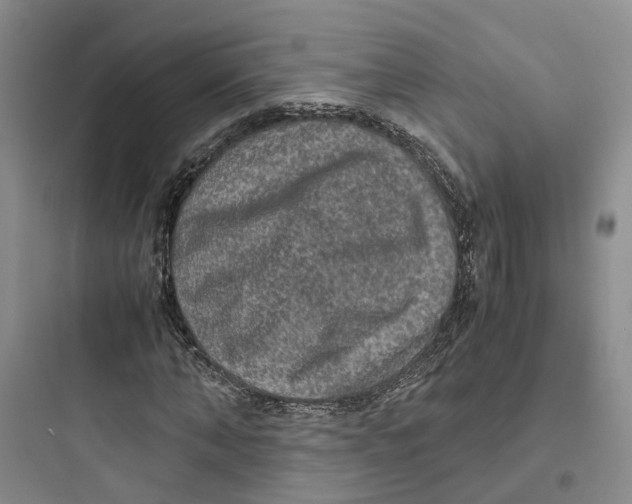 X0000097660870200803211917