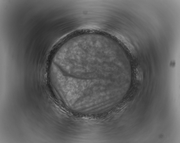 X0000097660872200803211917