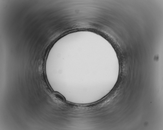 X0000097660873200803211917