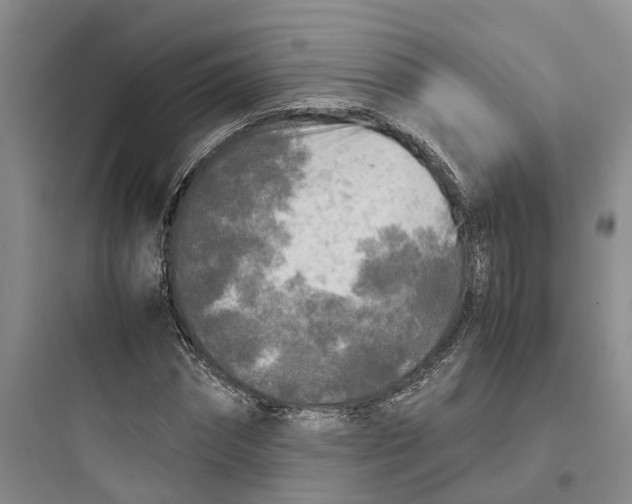 X0000097660874200803211917