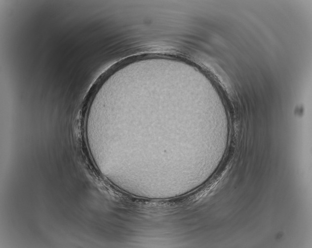 X0000097660875200803211917