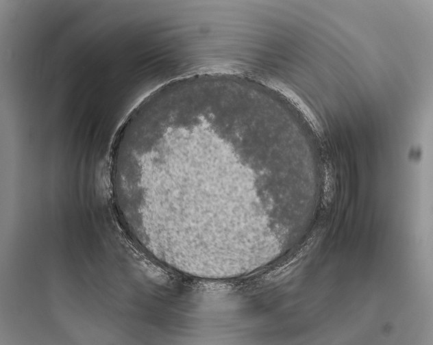 X0000097660878200803211917