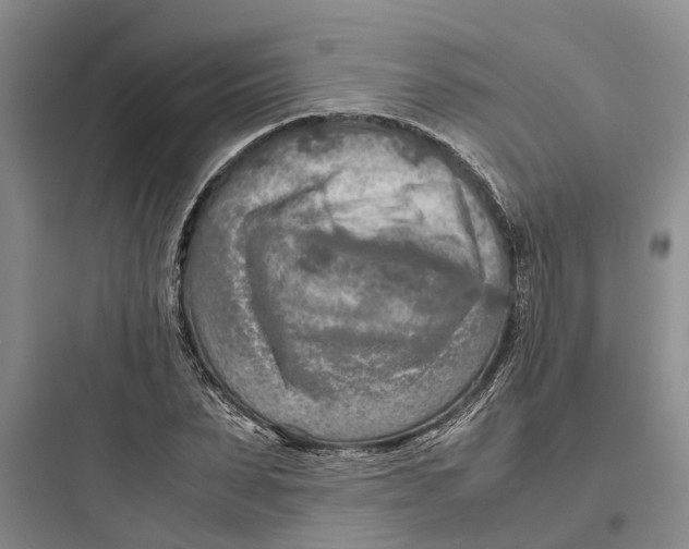X0000097660879200803211917