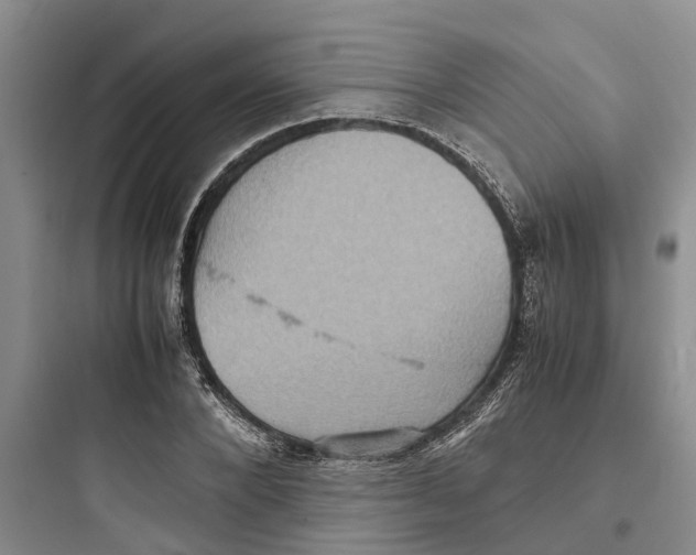 X0000097660880200803211917