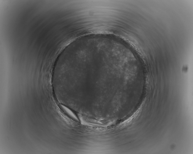 X0000097660881200803211917