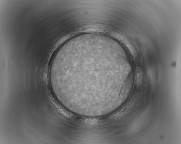 X0000097660882200803211917