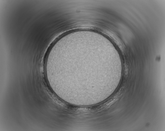 X0000097660883200803211917