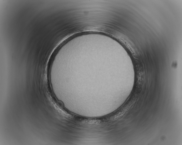 X0000097660884200803211917