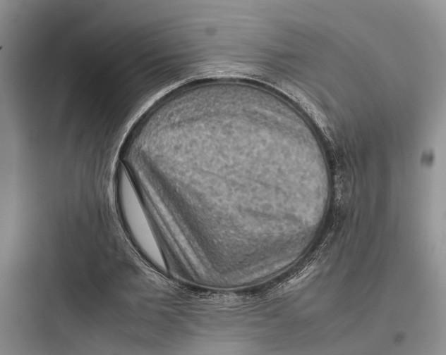 X0000097660885200803211917