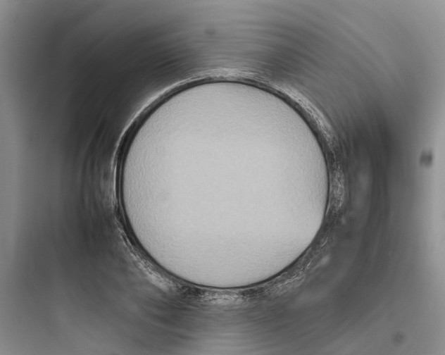 X0000097660886200803211917