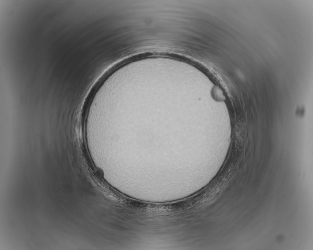 X0000097660887200803211917