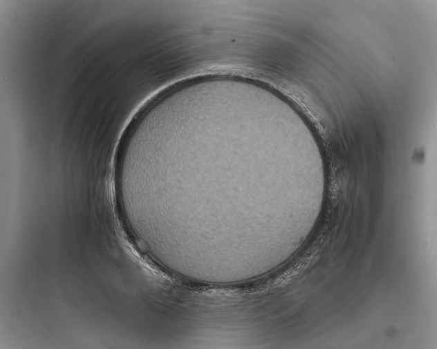 X0000097660888200803211917
