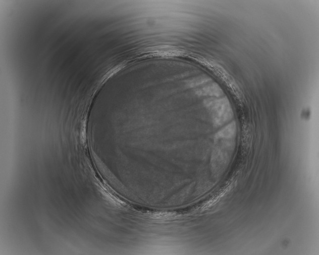 X0000097660889200803211917