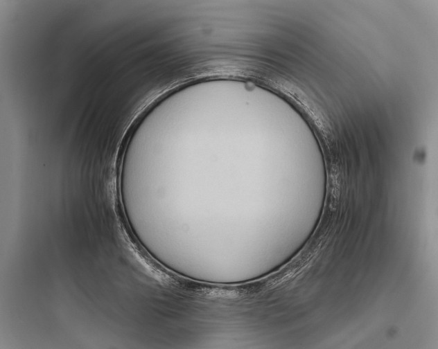 X0000097660890200803211917