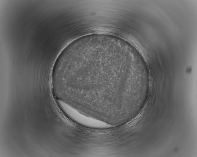 X0000097660891200803211917